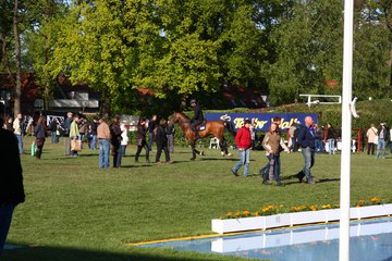 Bild 124 - Derby am 16.5.10